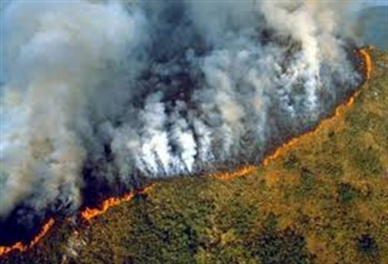 Incendi Amazzonia, il premier brasiliano corre ai ripari e invia l’esercito