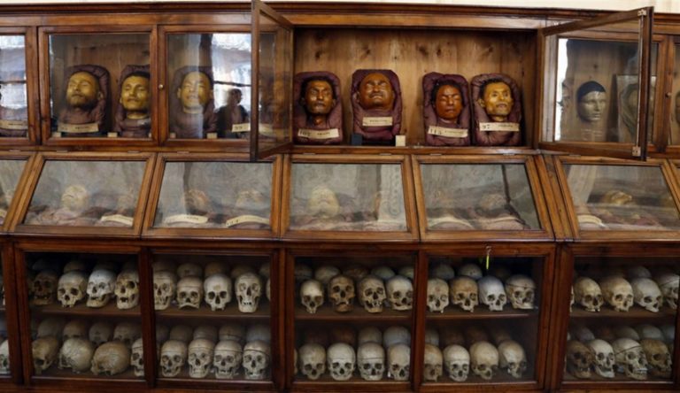Il cranio del brigante resta al Museo Lombroso di Torino