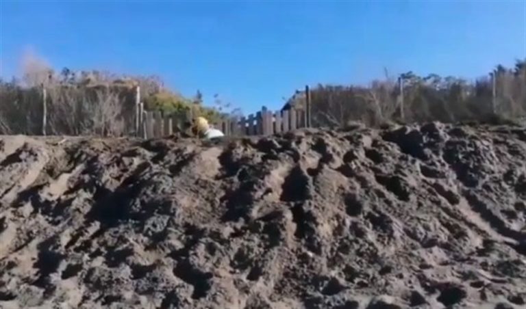 Beppe Grillo nel video di auguri: scava la fossa a qualcuno o preparan una trincea da combattimento? L’interrogativo inquieta i fan