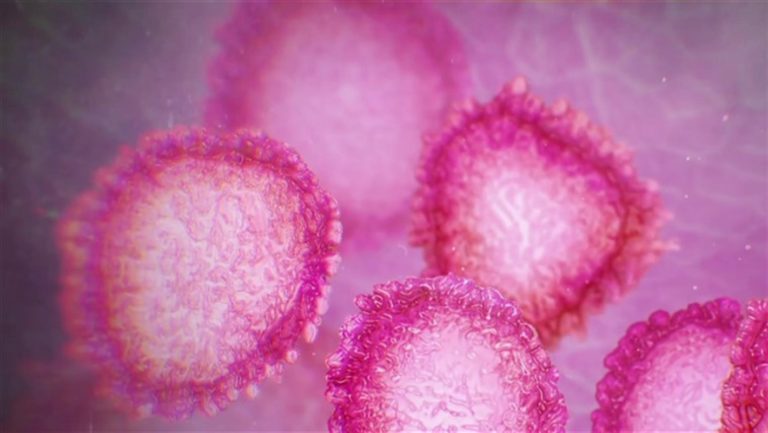 Ecco le cinque varianti del Coronavirus : più aggressivo