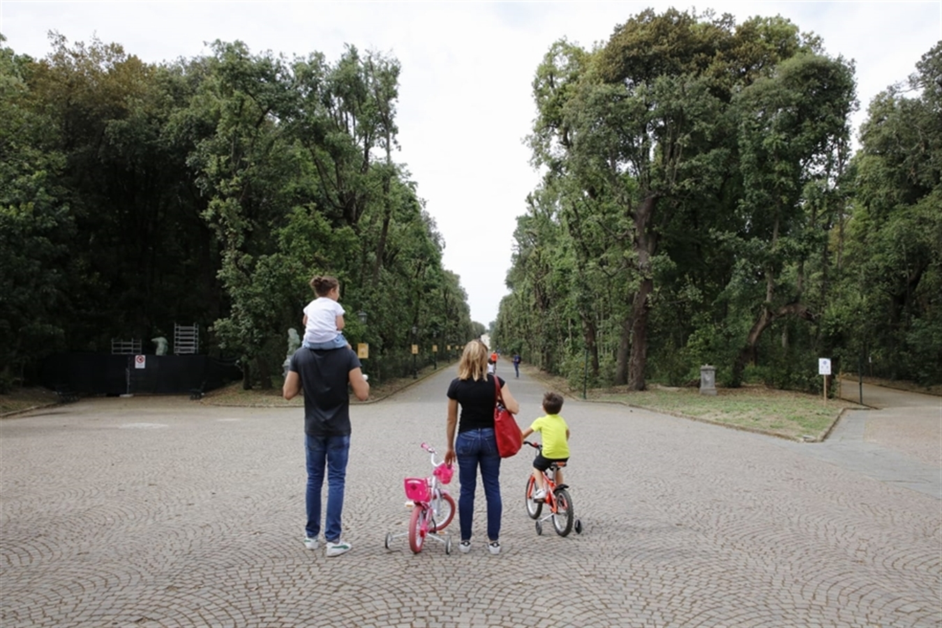 Riaperto il Real Bosco di Capodimonte: recuperati 24 ettari in più e 14 chilometri di viali, impiantati 1000 tra alberi e arbusti