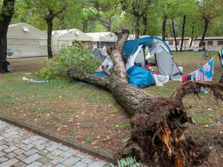 Cade albero sulla tenda da campeggio, morte schiacciate due sorelle