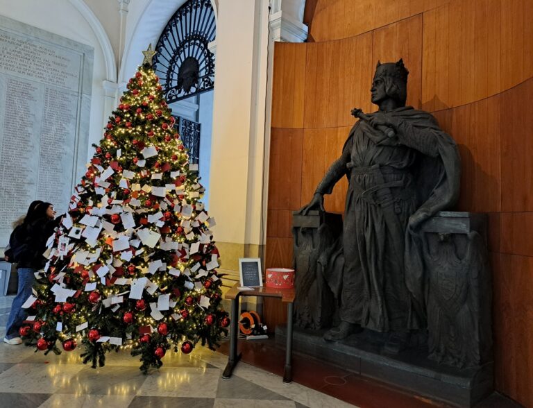 Tanti desideri sull’albero di Natale della Federico II