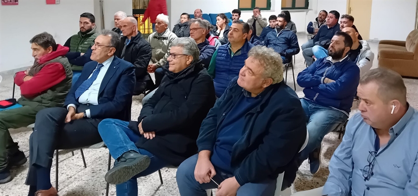 Provolone del Monaco Dop, allevatori a lavoro per garantire qualità eccellente del latte