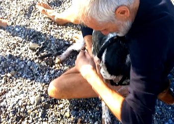 Lea, cagnolina capricciosa si tuffa e prende il largo: Il padrone disperato la riabbraccia dopo un’ora