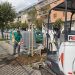 A Napoli 4.500 nuovi alberi e arbusti