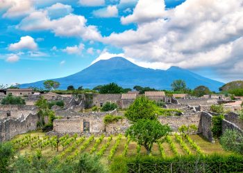 La Regione Campania protagonista del prestigioso fuori salone di Vinitaly con degustazioni, masterclass e un evento speciale dedicato al simbolo per eccellenza della regione: la pizza