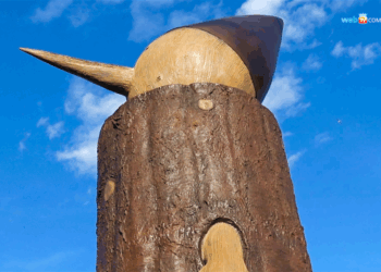 La statua di Pinocchio a piazza Mercato