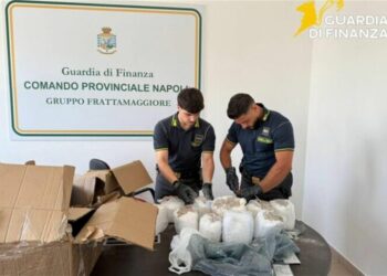 Ketamina da Napoli a Los Angeles : Pasta e farina per nascondere la sostanza per ‘fabbricare’ la ‘cocaina rosa’